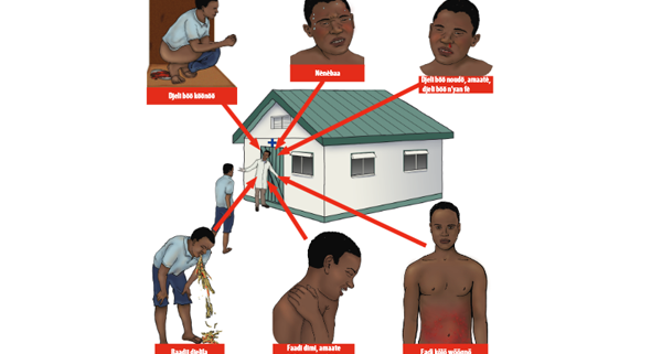 Affiche Ebola Signes Symptômes MALINKE