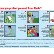 Ebola fact sheet