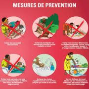 A poster in French illustration Ebola prevention measures
